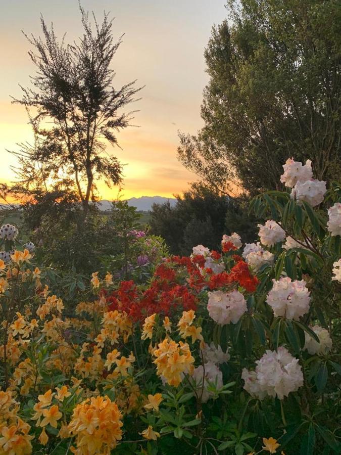 2 Views At Tasman Bed & Breakfast Екстериор снимка